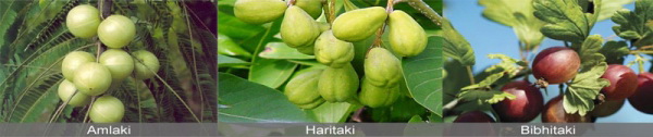 triphala